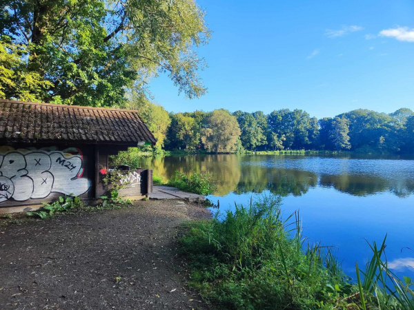 Anglerhütte am See zwischen Bäumen. Blauer Himmel, das Wasser reflektiert die Bäume.