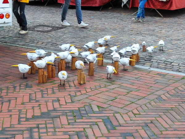 Holzmöwen auf einem Wochenmarkt
