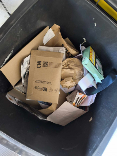 Altpapier in der Tonne
