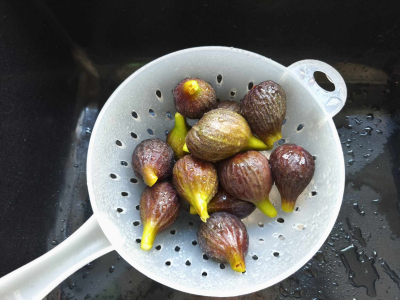 Frische Feigen im Durchschlag