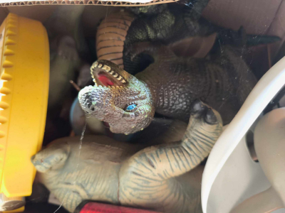Plastikdino in Kiste mit Spinnweben