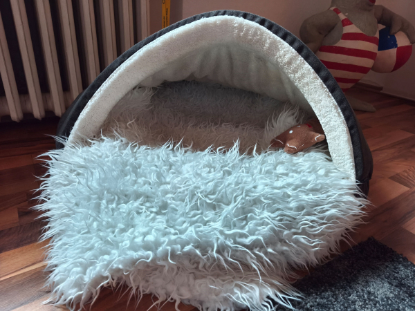 Leeres Hundekörbchen